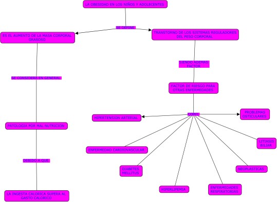 LA OBESIDAD - INFORMATICA